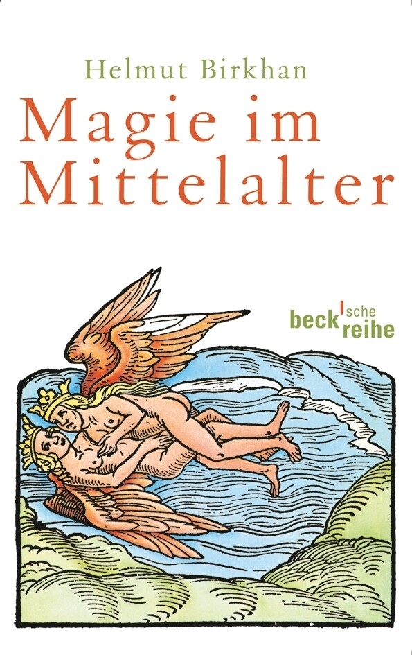 Produktbild: Magie im Mittelalter | Helmut Birkhan