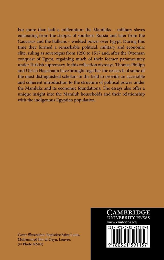 Weitere Ansicht: The Mamluks in Egyptian Politics and Society