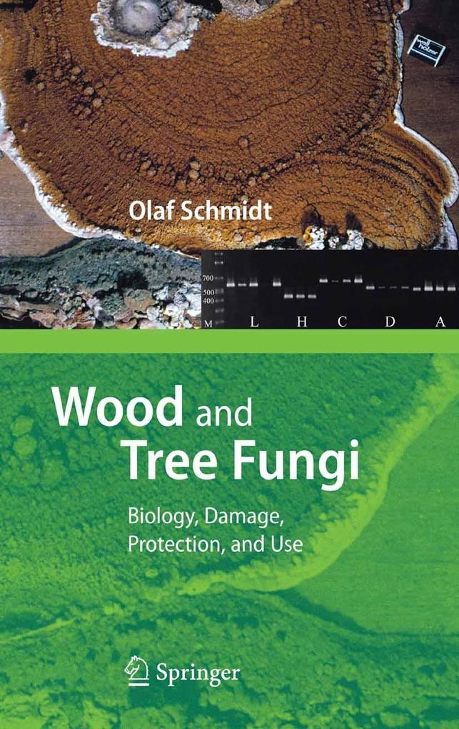 Produktbild: Wood and Tree Fungi | Olaf Schmidt