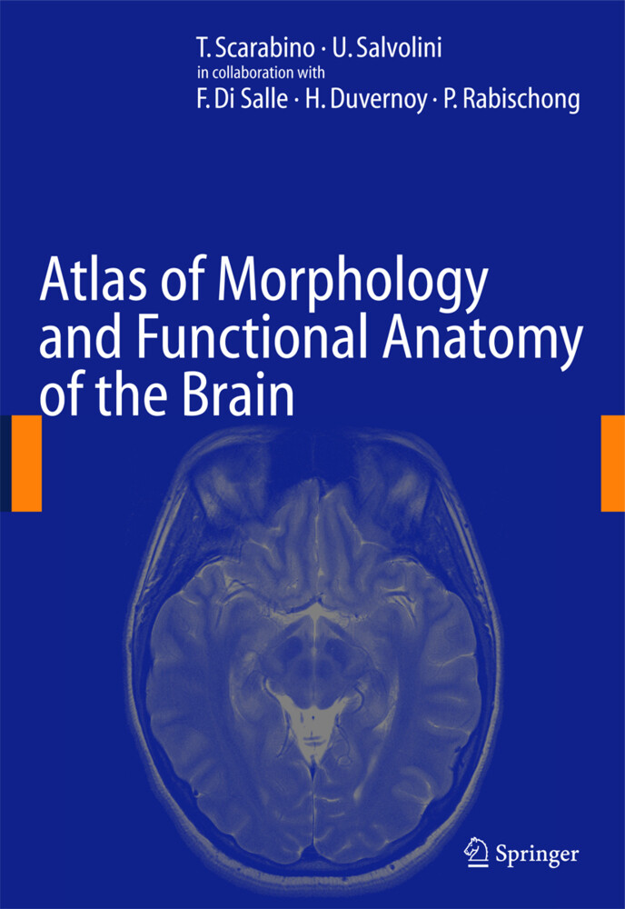 Atlas of Morphology and Functional Anatomy of the Brain als Buch (gebunden)