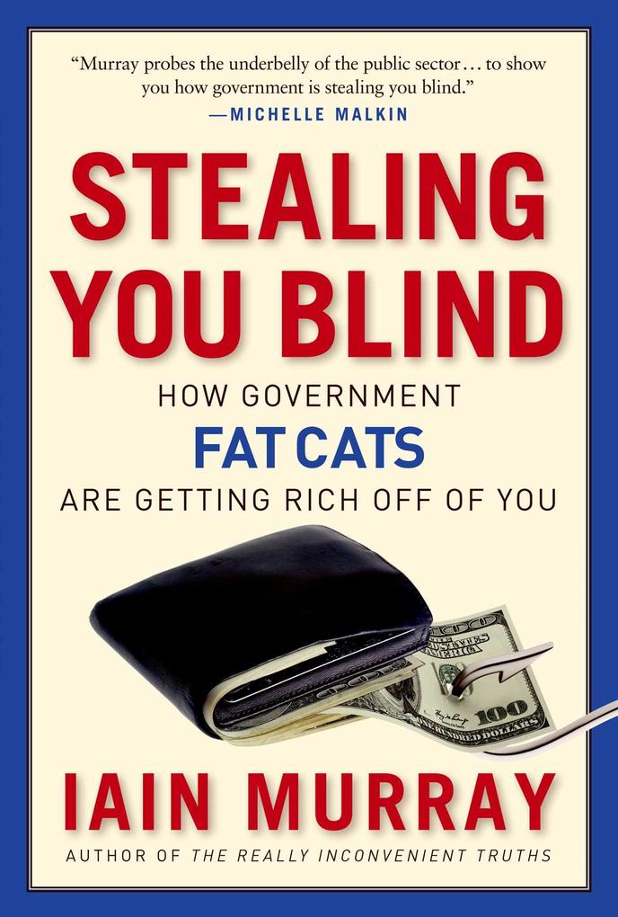 Stealing You Blind: How Government Fat Cats Are Getting Rich Off of You als Buch (gebunden)