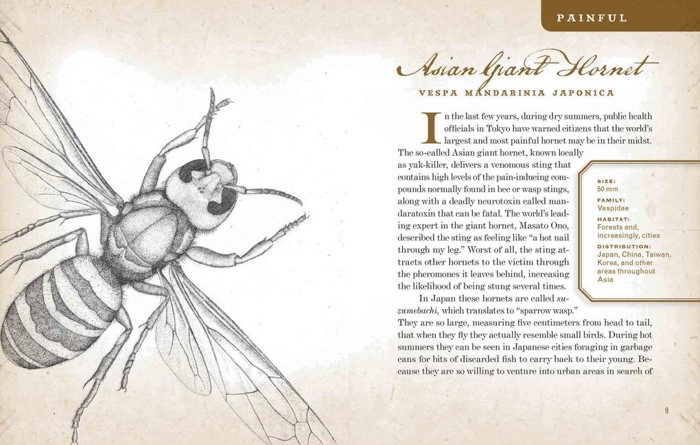 Weitere Ansicht: Wicked Bugs | Amy Stewart