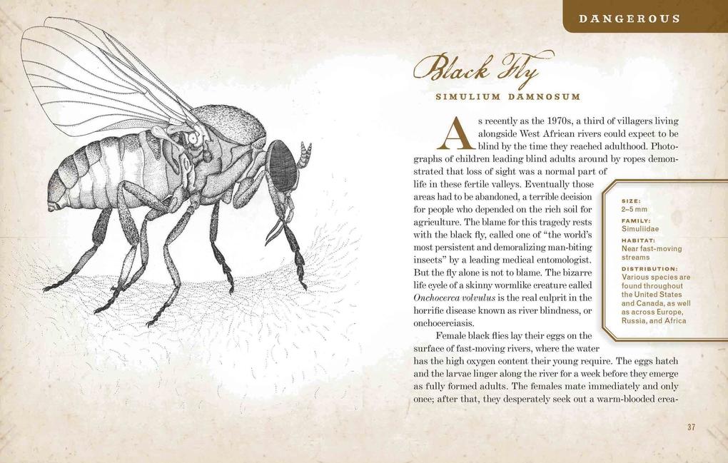 Weitere Ansicht: Wicked Bugs | Amy Stewart