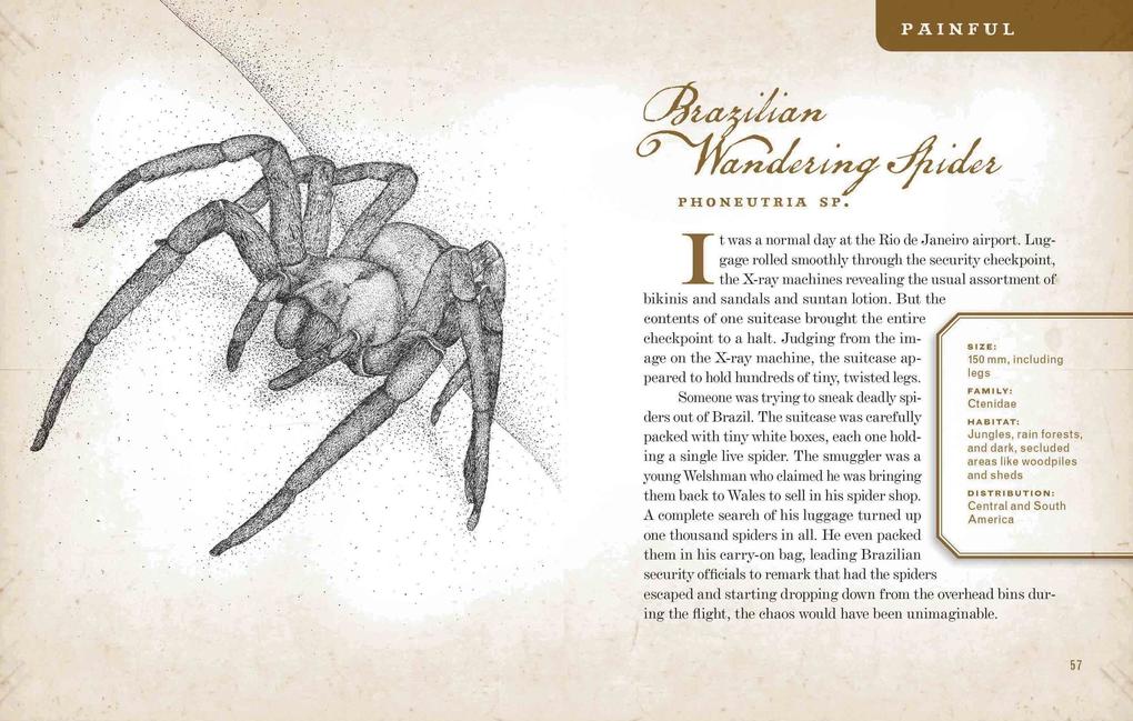 Weitere Ansicht: Wicked Bugs | Amy Stewart