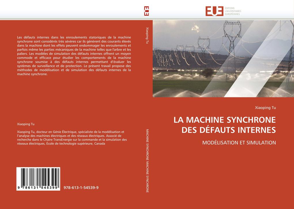 La Machine Synchrone Des Défauts Internes als Taschenbuch