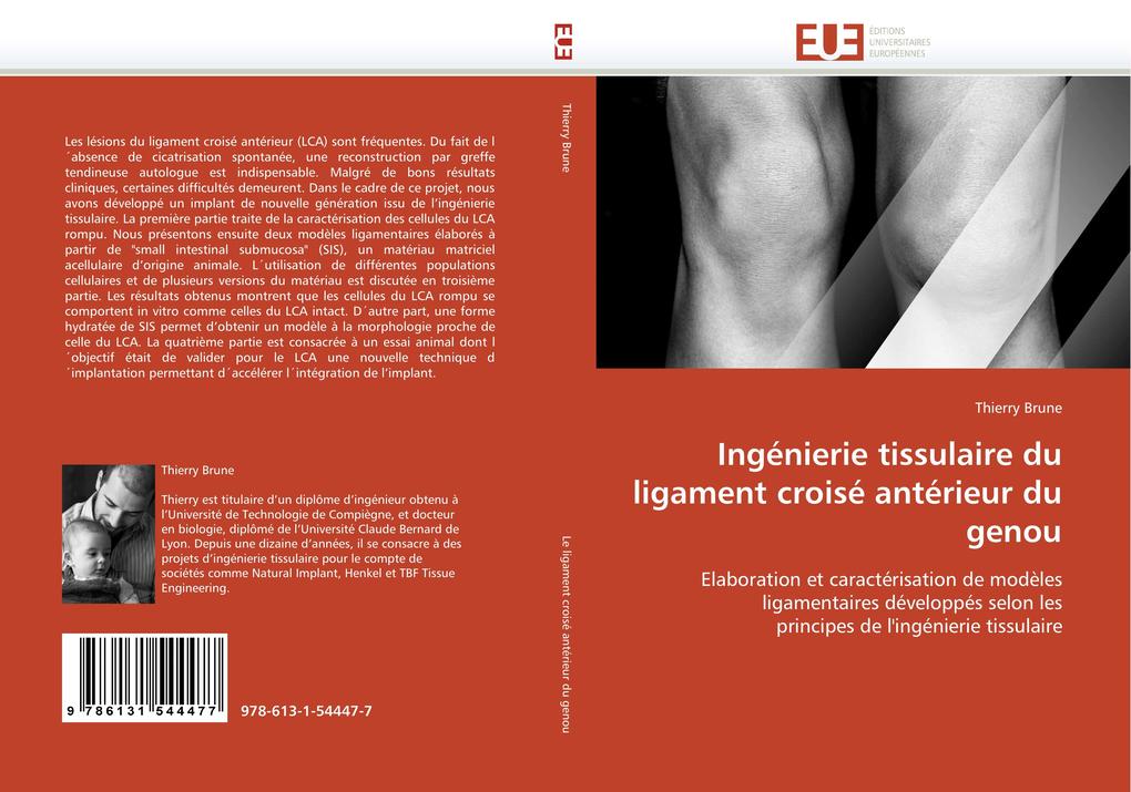 Ingénierie Tissulaire Du Ligament Croisé Antérieur Du Genou als Taschenbuch
