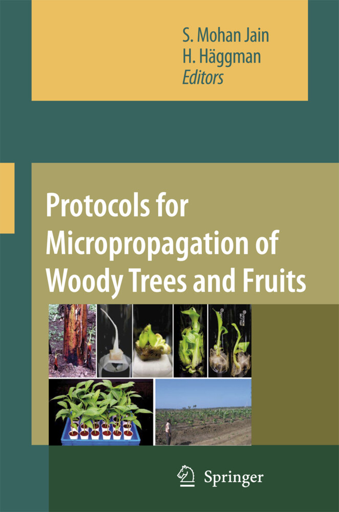Protocols for Micropropagation of Woody Trees and Fruits als Taschenbuch