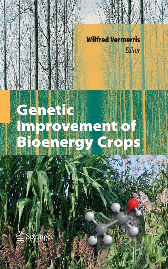 Produktbild: Genetic Improvement of Bioenergy Crops