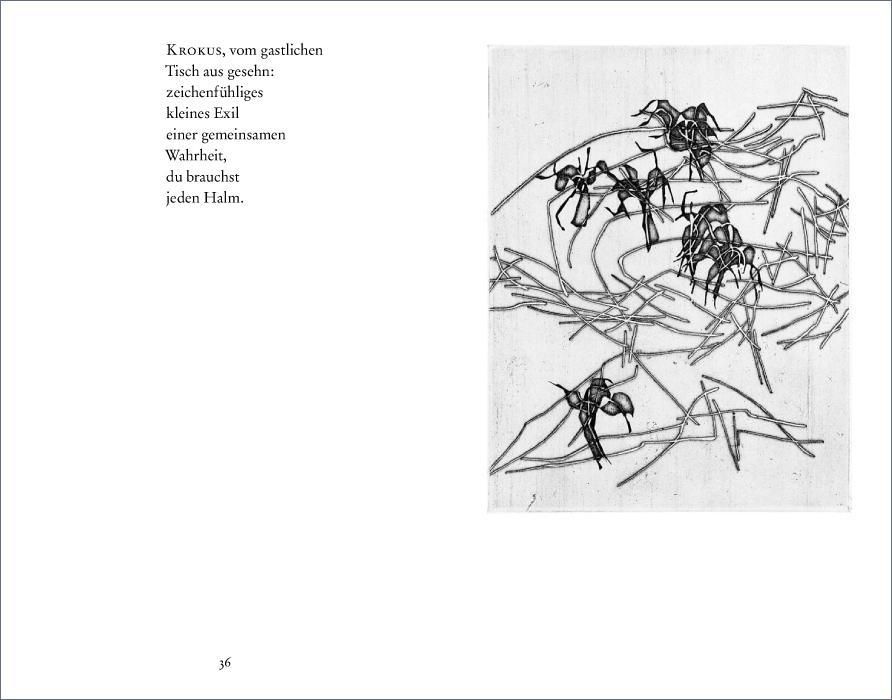 Weitere Ansicht: Gedichte | Paul Celan