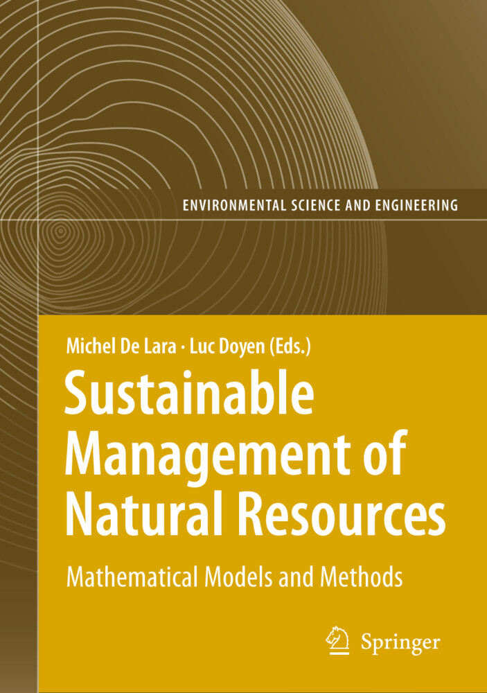 Information Technologies in Environmental Engineering als Taschenbuch