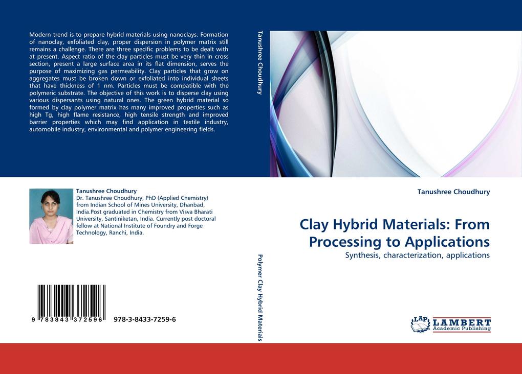 Clay Hybrid Materials: From Processing to Applications als Buch (kartoniert)