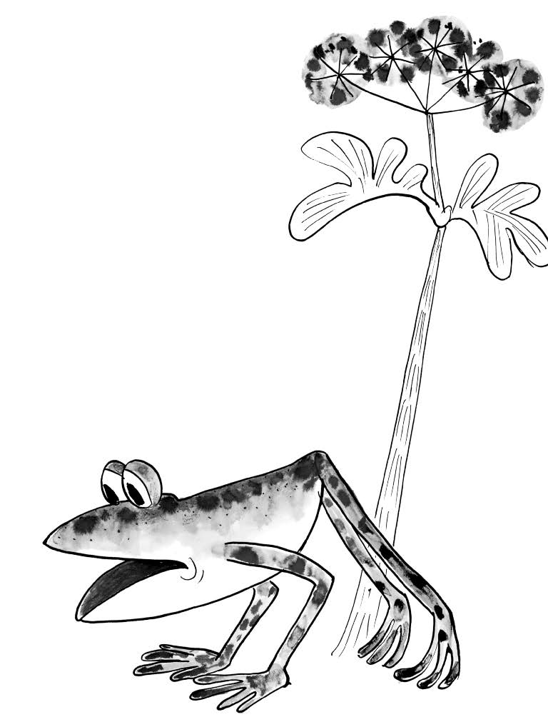 Weitere Ansicht: Das kleine Ich bin ich | Mira Lobe