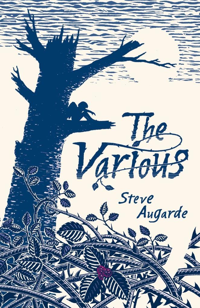 Produktbild: The Various | Steve Augarde