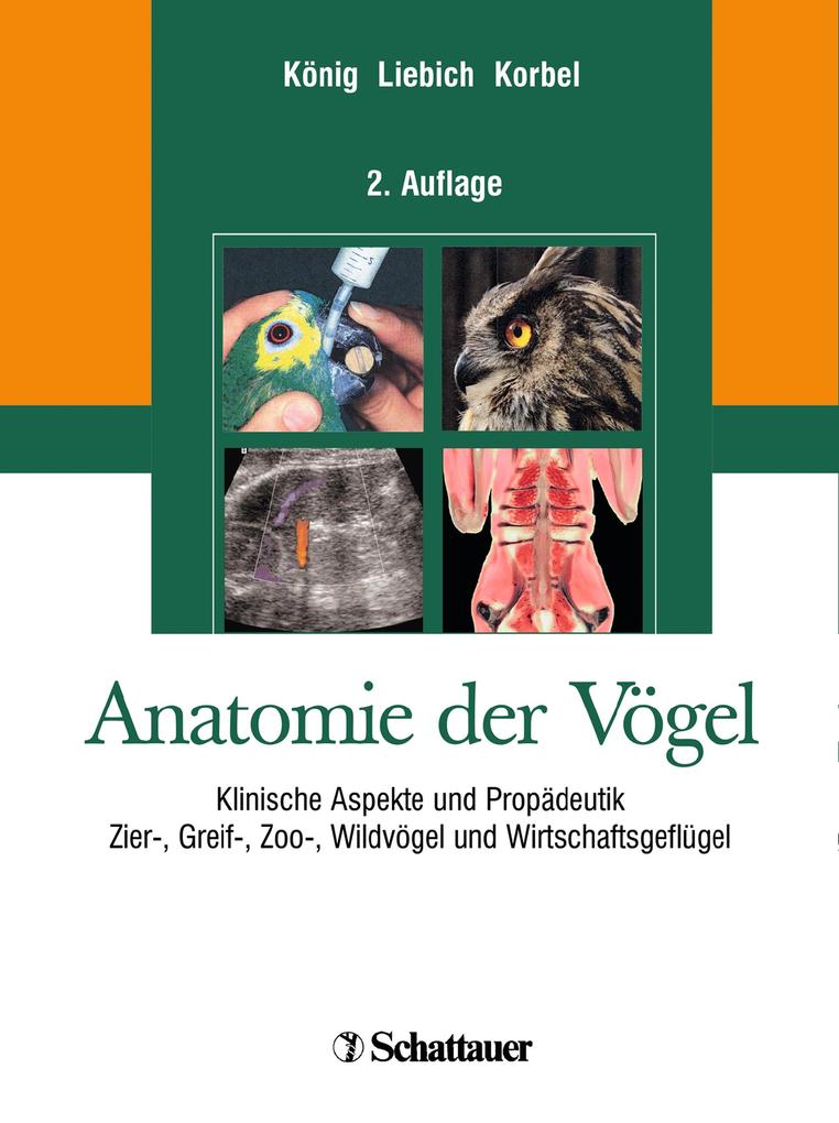 Produktbild: Anatomie der Vögel