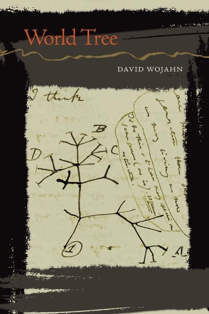 Produktbild: World Tree | David Wojahn