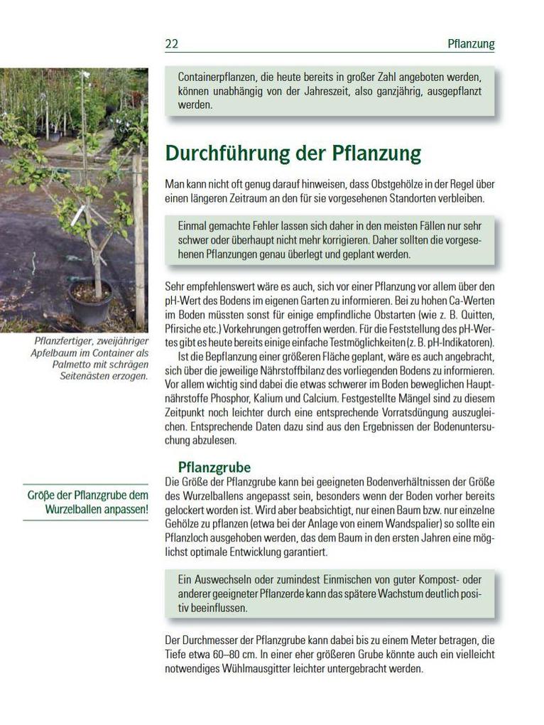 Weitere Ansicht: Spalierobst | Karl Pieber, Peter Modl