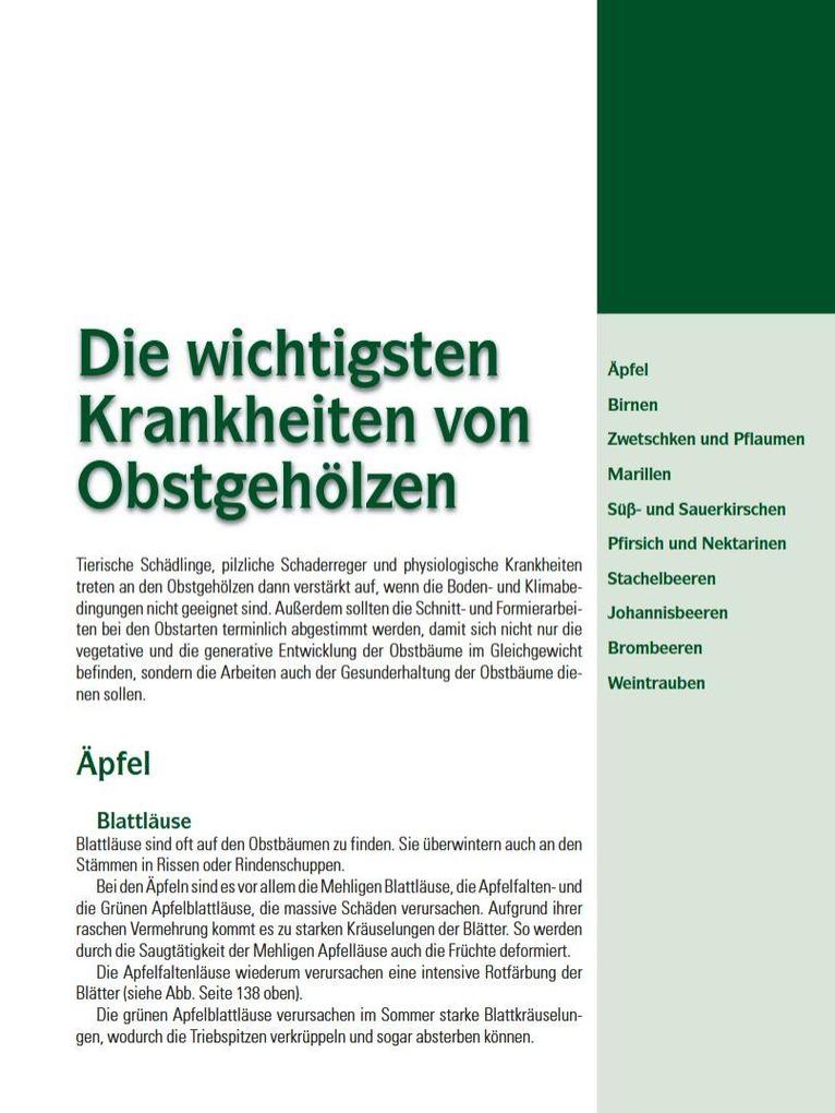 Weitere Ansicht: Spalierobst | Karl Pieber, Peter Modl