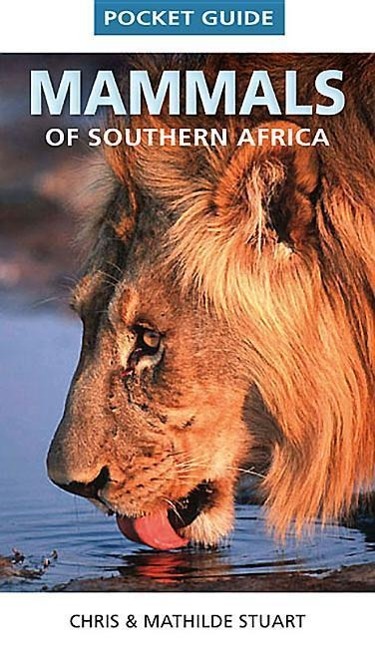 Produktbild: Mammals of Southern Africa | Chris Stuart