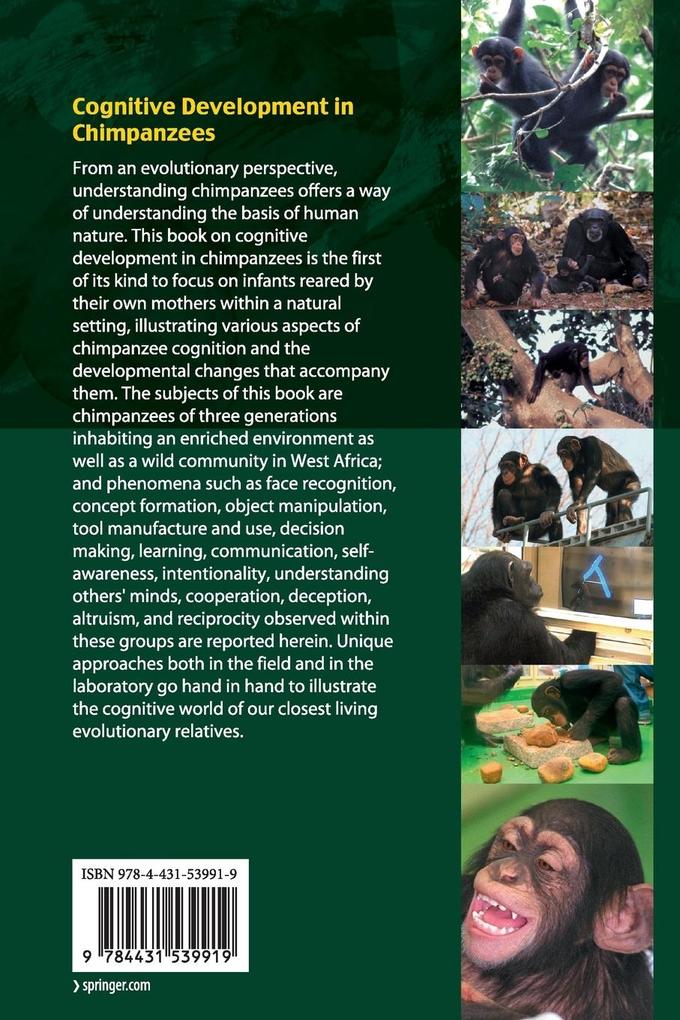Weitere Ansicht: Cognitive Development in Chimpanzees