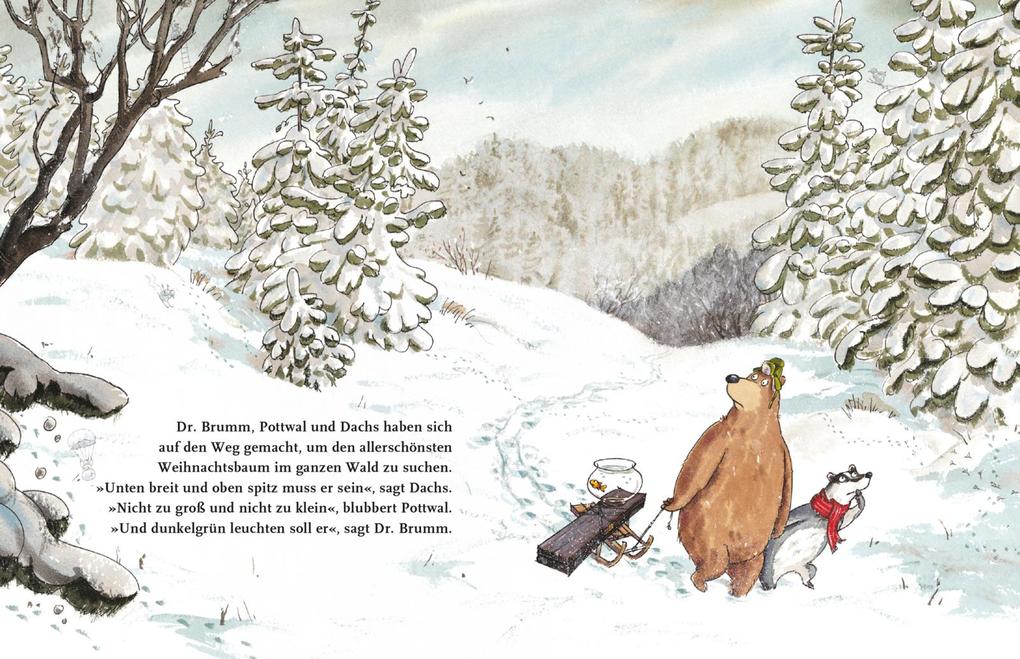 Weitere Ansicht: Dr. Brumm feiert Weihnachten (Mini) | Daniel Napp