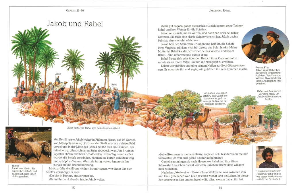 Weitere Ansicht: Illustrierte Bibel für Kinder | Selina Hastings