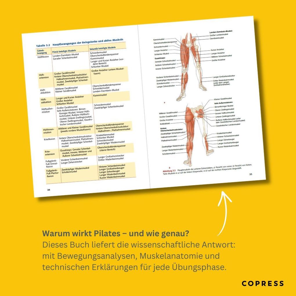 Weitere Ansicht: Pilates Anatomie | Rael Isacowitz, Karen Clippinger