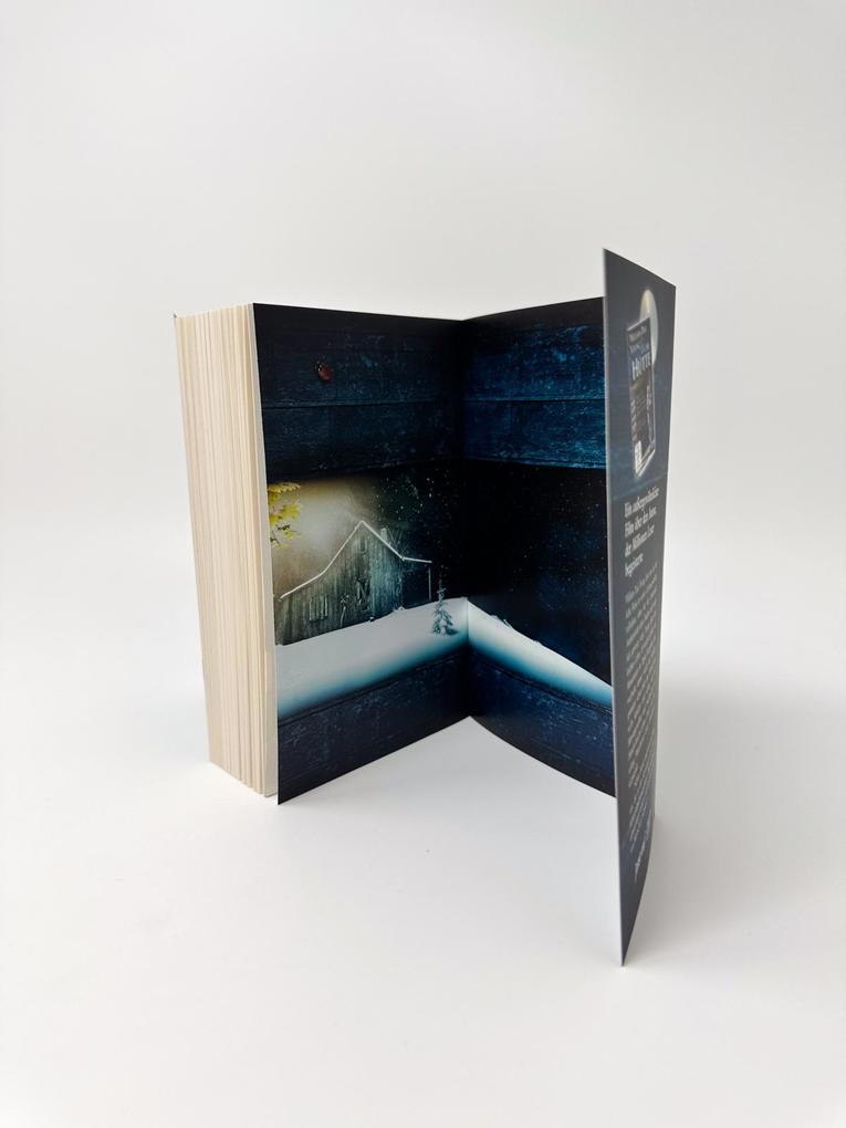 Weitere Ansicht: Die Hütte | William Paul Young