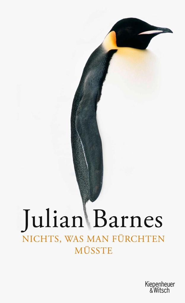Produktbild: Nichts, was man fürchten müsste | Julian Barnes