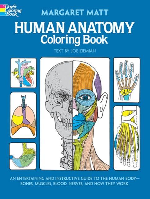 Produktbild: Human Anatomy | Margaret Matt, Joe Ziemian