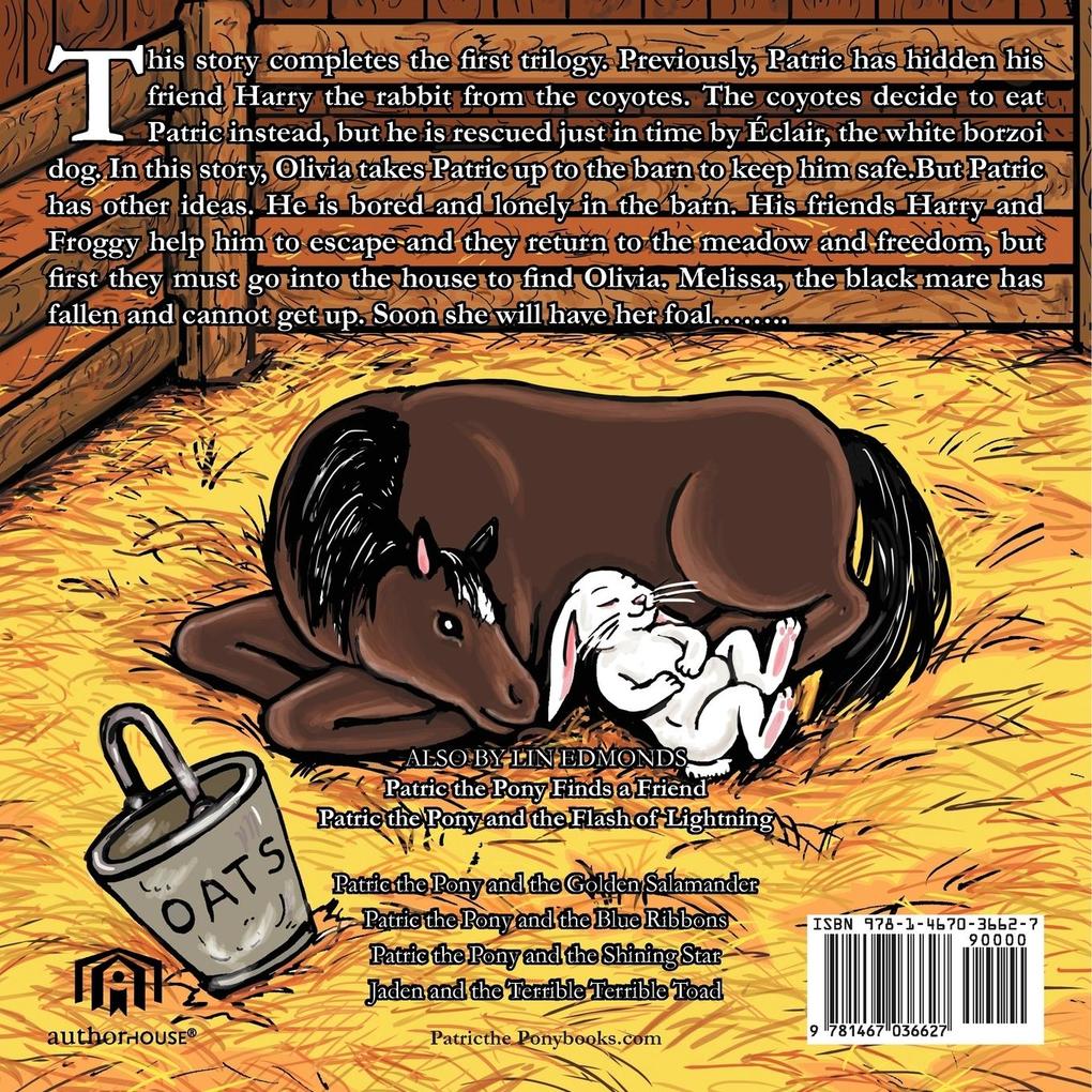 Weitere Ansicht: Patric the Pony and the Race for Freedom | Lin Edmonds