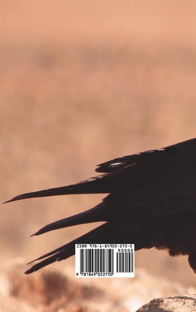 Weitere Ansicht: The Works of Edgar Allan Poe - Volume 2 | Edgar Allan Poe