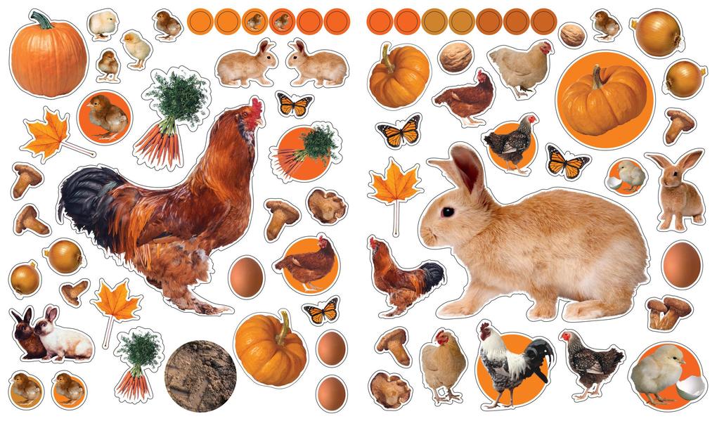 Weitere Ansicht: EyeLike Stickers: On the Farm