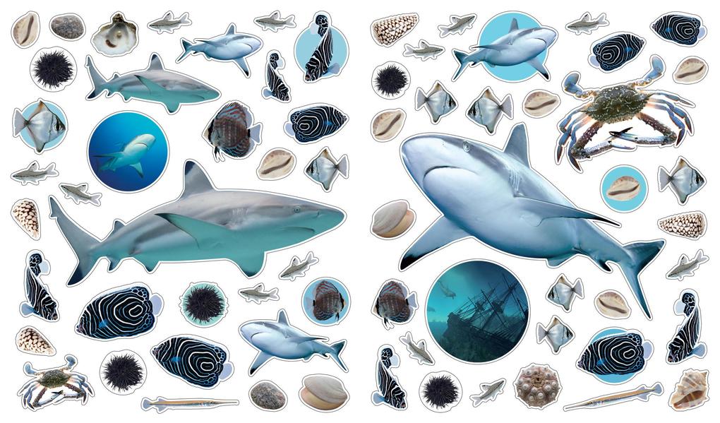 Weitere Ansicht: Eyelike Stickers: Ocean