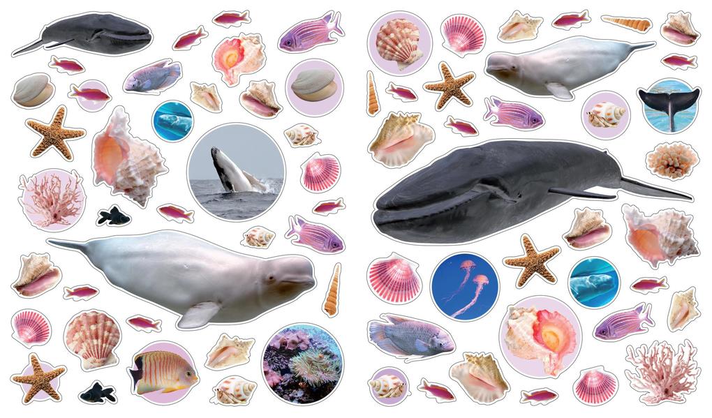 Weitere Ansicht: Eyelike Stickers: Ocean