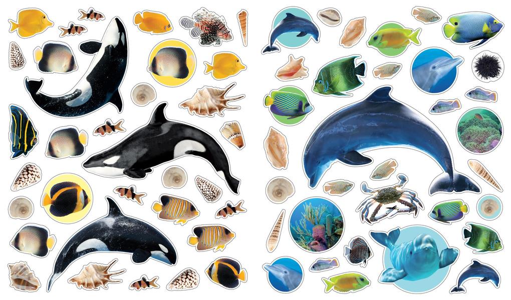 Weitere Ansicht: Eyelike Stickers: Ocean