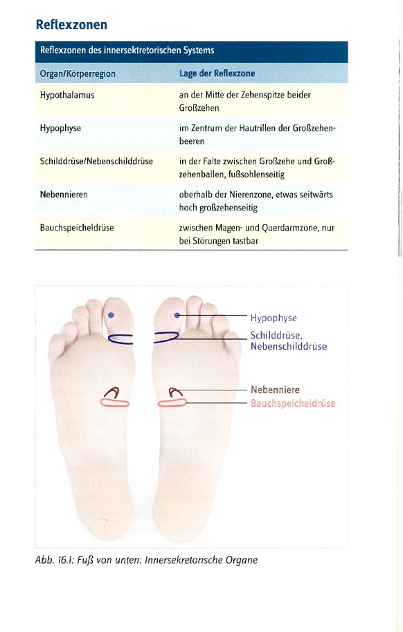 Weitere Ansicht: Fußreflexzonentherapie | Margarete Hermanns
