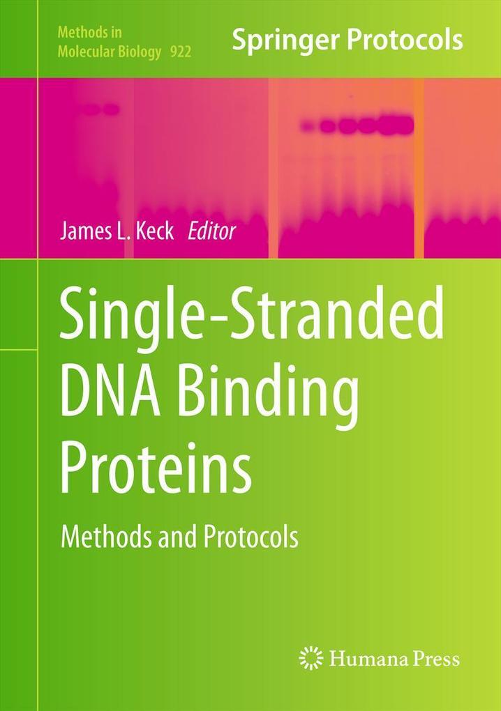 Produktbild: Single-Stranded DNA Binding Proteins