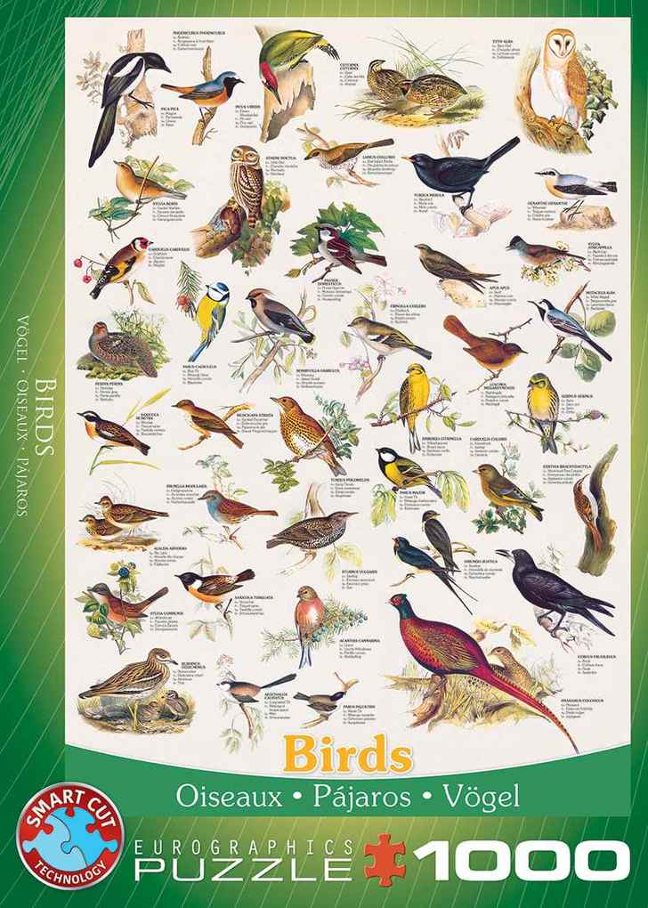 Weitere Ansicht: Vögel 1000 Teile