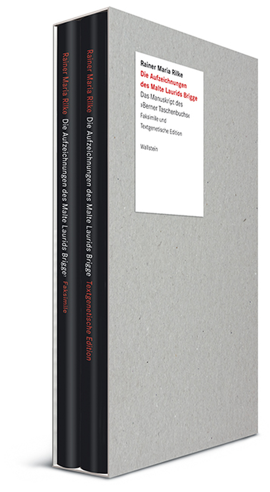 Weitere Ansicht: Die Aufzeichnungen des Malte Laurids Brigge | Rainer Maria Rilke