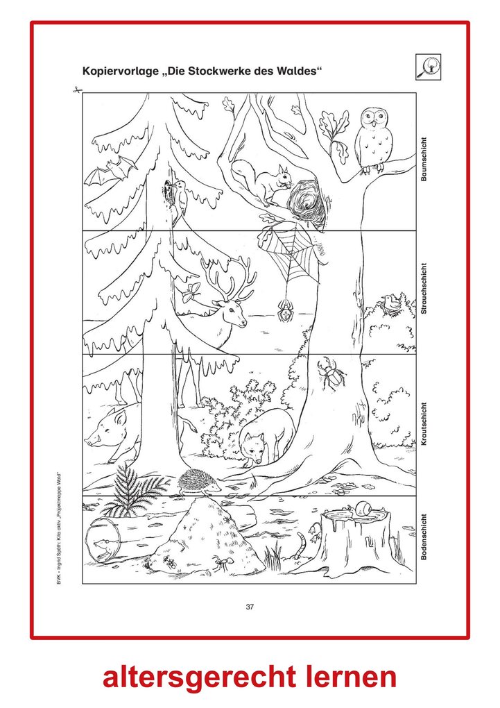 Weitere Ansicht: Kita aktiv Projektmappe Wald | Ingrid Späth