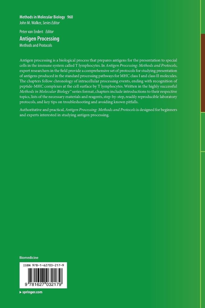 Weitere Ansicht: Antigen Processing