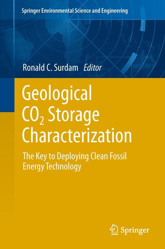 Produktbild: Geological CO2 Storage Characterization