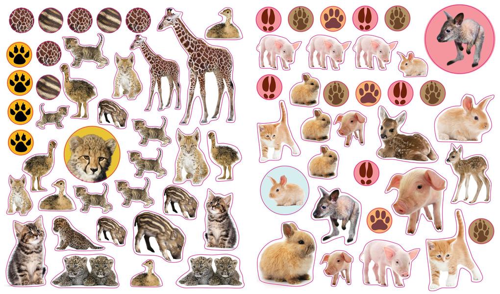 Weitere Ansicht: Eyelike Stickers: Baby Animals