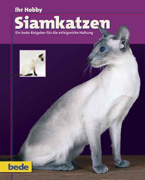 Produktbild: Ihr Hobby Siamkatzen | Dominik Kieselbach
