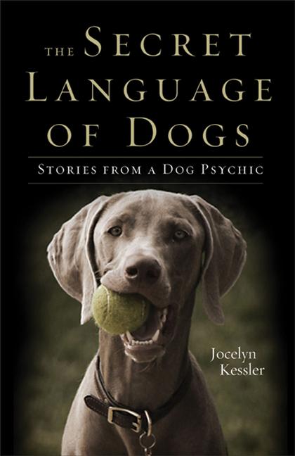 Produktbild: The Secret Language of Dogs | Jocelyn Kessler