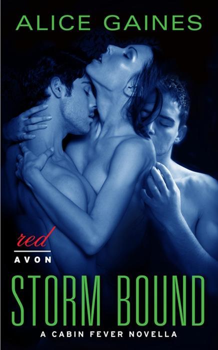 Produktbild: Storm Bound | Alice Gaines