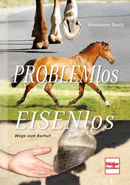 Produktbild: Problemlos Eisenlos | Konstanze Rasch