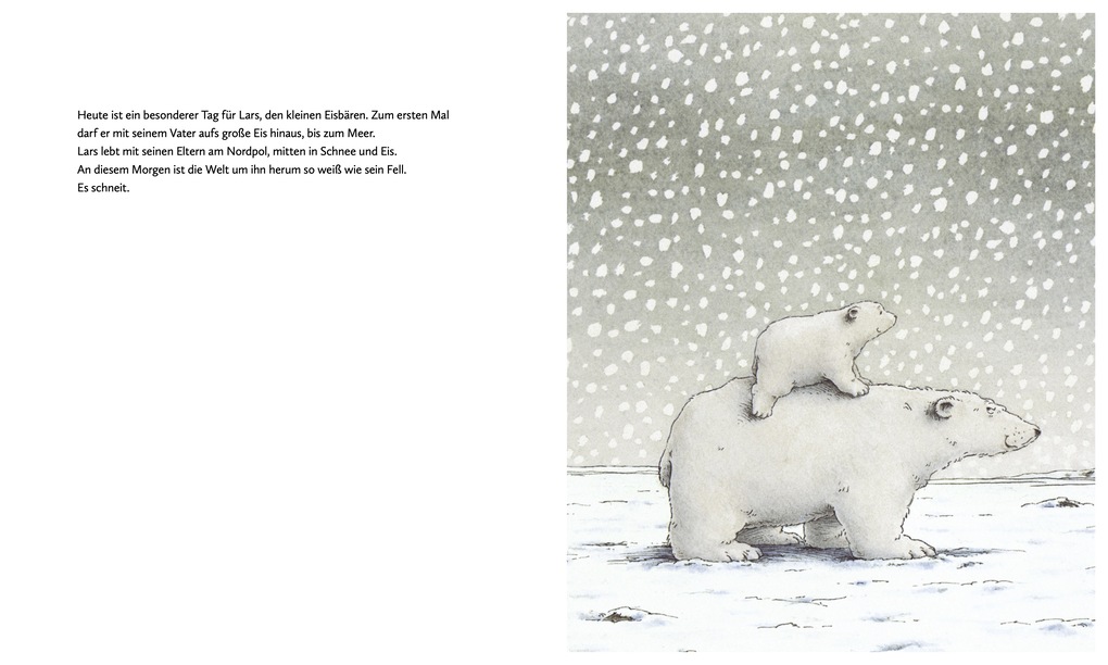 Weitere Ansicht: Kleiner Eisbär - Wohin fährst du, Lars? | Hans de Beer