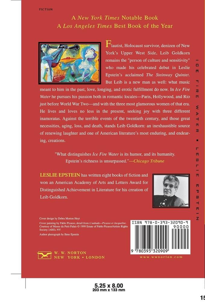 Weitere Ansicht: Ice Fire Water | Leslie Epstein