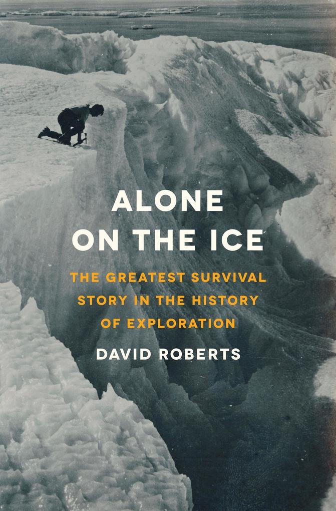 Produktbild: Alone on the Ice | David Roberts